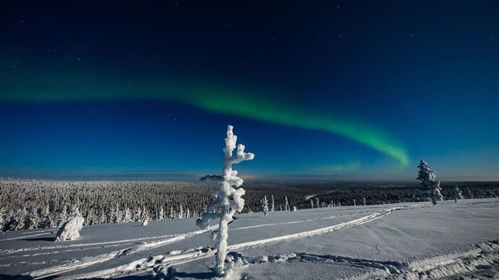 Husky Aurora Hunt in Rovaniemi: Sleigh Ride Under Finland's Northern Lights photo 4