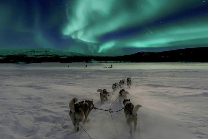 Husky Aurora Hunt in Rovaniemi: Sleigh Ride Under Finland's Northern Lights photo 1