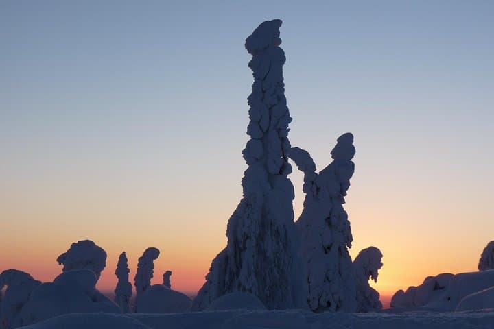 Sleigh Ride Around the Arctic Circle — Snowmobile Tour from Rovaniemi photo 5