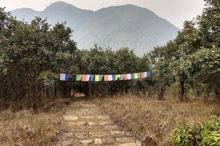 Hike Champadevi: Half-Day Trek & Temple Views Above Kathmandu photo 6