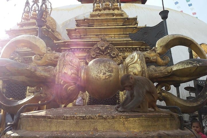 Walking Kathmandu’s Heart: Durbar Square, Asan & Swayambhunath with Local Guides