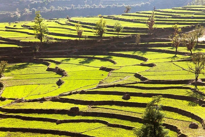 Day Hike to Namobuddha Monastery: Panoramic Views & Buddhist Heritage Near Kathmandu photo 3