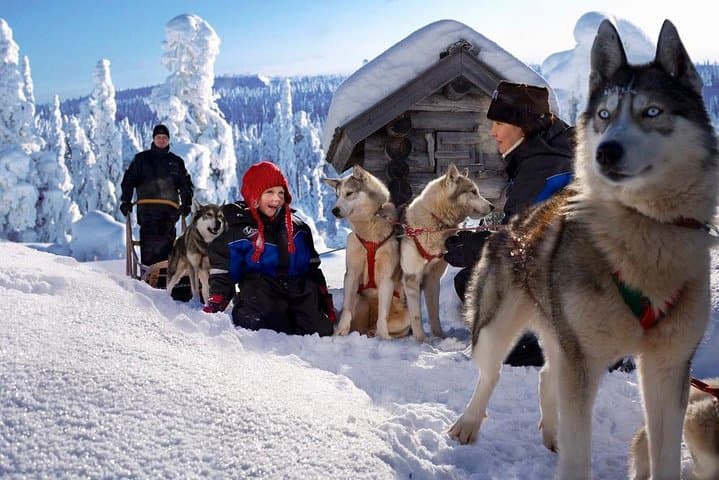 Arctic Circle Family Day: Husky Sled, Snowmobiling & Ice Fishing from Rovaniemi photo 2