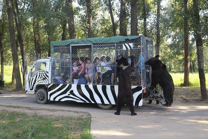 Private Full-Day Safari at Beijing Wildlife Park: Cage-Truck & Self-Drive Experience photo 4