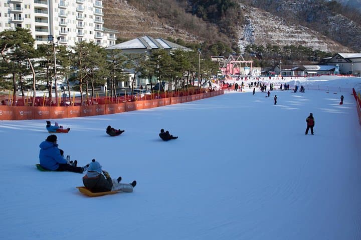Private Nami Island & Elysian Ski Resort Snow Viewing — Day Tour from Seoul photo 3