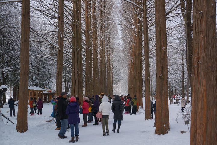 Private Strawberry-Picking & Nami Island Day Tour from Seoul photo 2
