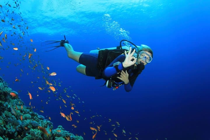 Discover Scuba on Koh Tao: 2 Guided Dives from Koh Samui