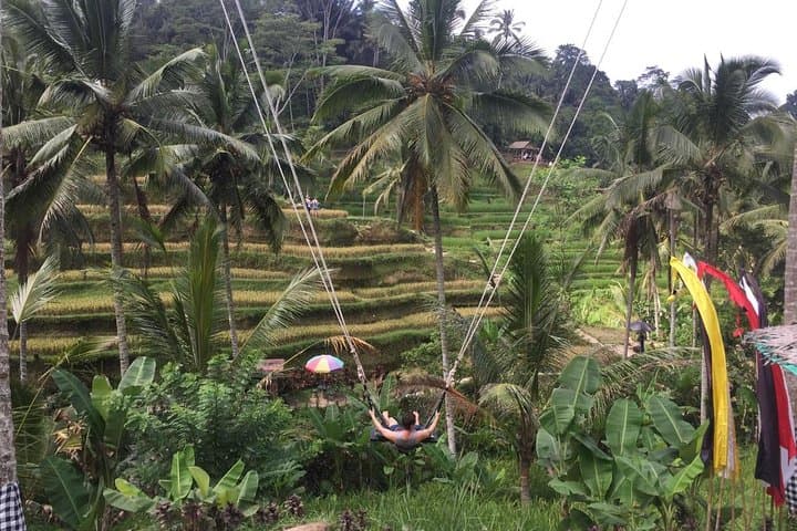 Beji Guwang Hidden Canyon Trek: Full-Day Trek from Ubud photo 2