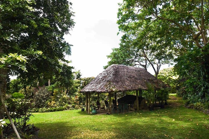 Eden on the River — Rentapau River Swim & Play Ticket, Port Vila's Tropical River Escape photo 3