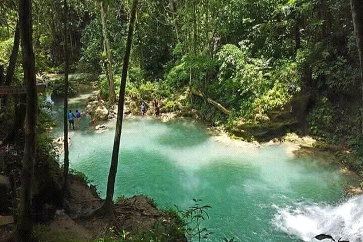 Dunn's River Falls & Blue Hole Combo — Ocho Rios Waterfall Climb, Cliff Jumps & Rope Swing photo 2