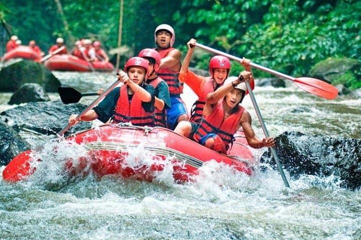 Ayung River White-Water Rafting from Ubud: 11km Half-Day Adventure photo 2