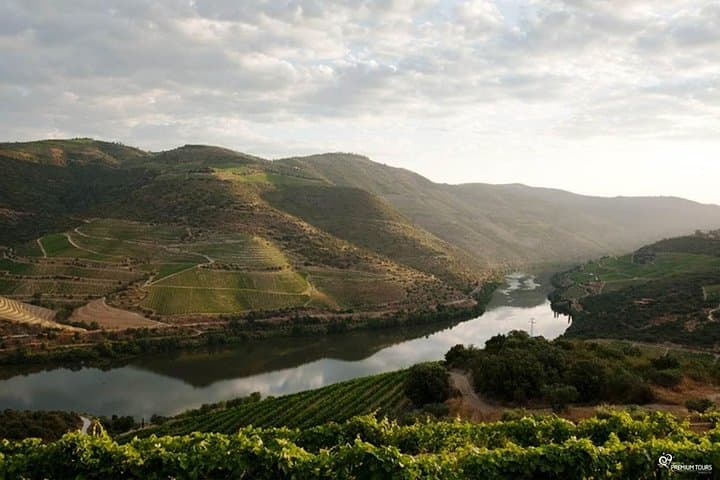 Douro Valley Wine Day Tour from Porto — Terraced Vineyards & Wine Tasting