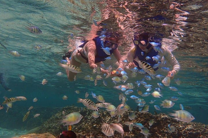 Private Guided Snorkeling in Guam: Family-Friendly Reefs & Freediving Dropoffs photo 3
