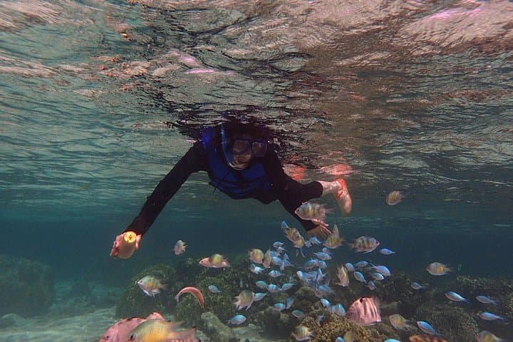 Private Guided Snorkeling in Guam: Family-Friendly Reefs & Freediving Dropoffs photo 4