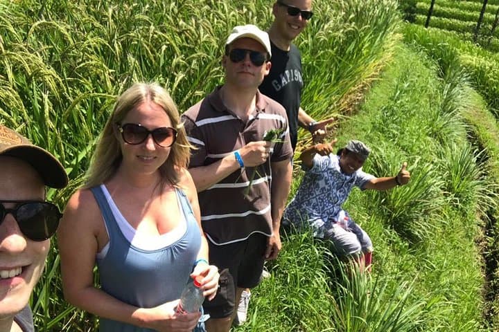 Jatiluwih UNESCO Rice Terraces Walk: Guided Two-Hour Trek Through Bali’s Subak Landscape photo 2