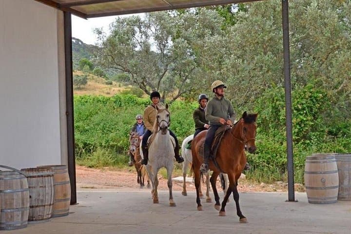 Ride the Louro Trail: 5-Hour Horseback Journey Through Arrábida Natural Park photo 6