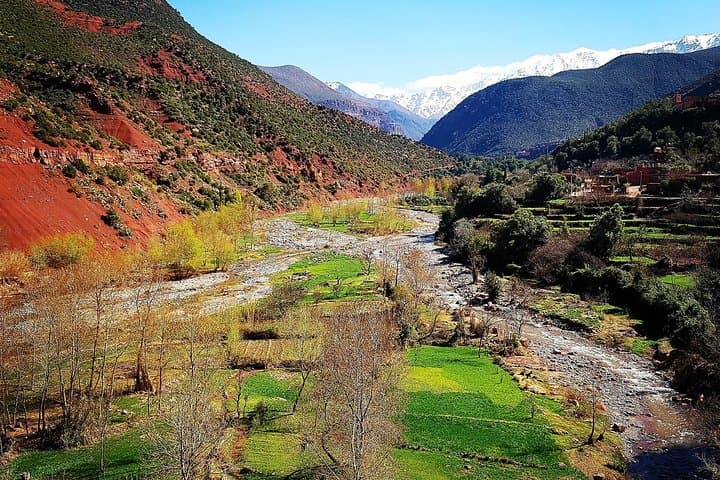 Half-Day Atlas Mountains Tour from Marrakech: Ourika Valley Waterfalls & Berber Village Visit photo 1