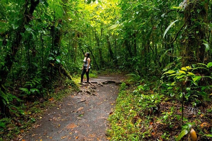La Fortuna Full-Day: Hanging Bridges, La Fortuna Waterfall, Arenal Volcano Hike & Hot Springs photo 4