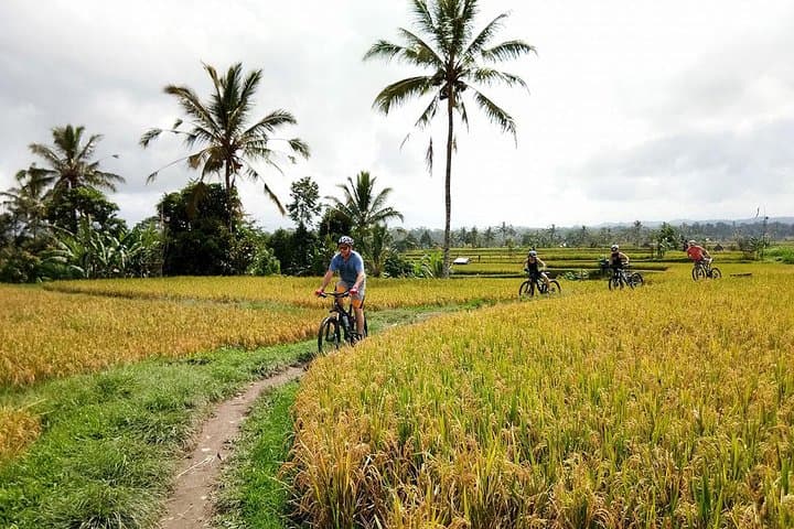 Mount Batur to Ubud Off-Road Cycling Adventure – Volcano Views and Rice-Field Singletrack photo 2