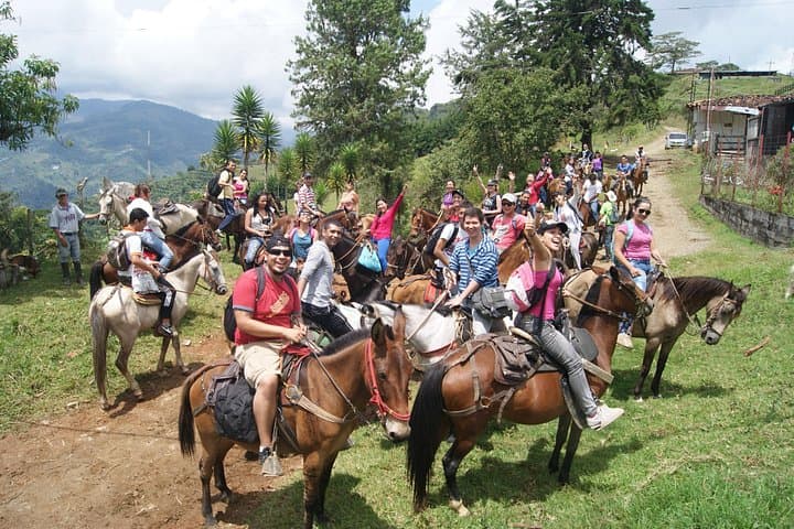 Medellín Coffee Farm Horseback Tour with Lunch in Palmitas photo 2