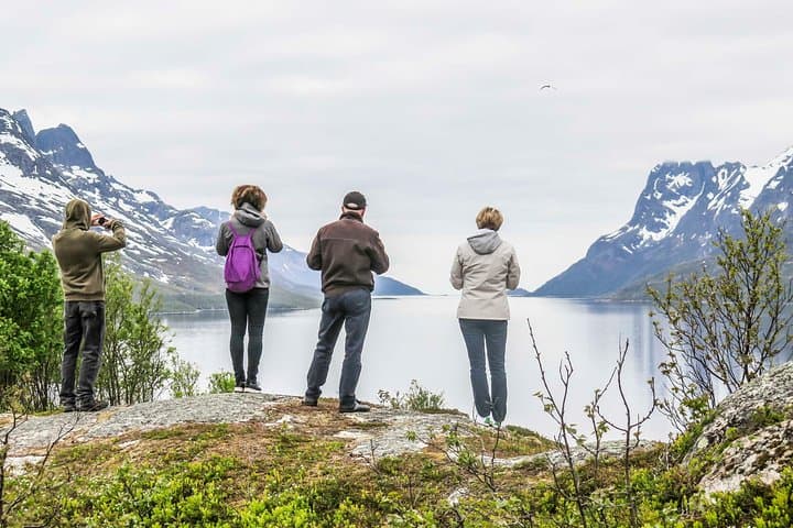 Discover the Fjords of Kvaloya: Scenic Roadtrip to Fishing Villages & Arctic Wildlife photo 3