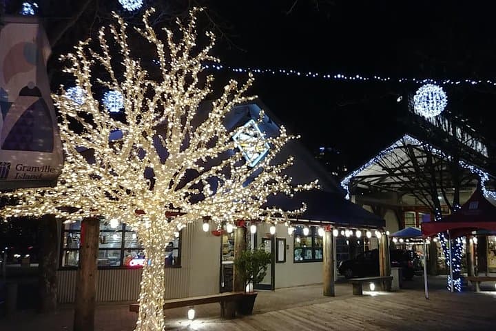 Vancouver Christmas Festival of Lights: Private Holiday Lights Tour photo 2