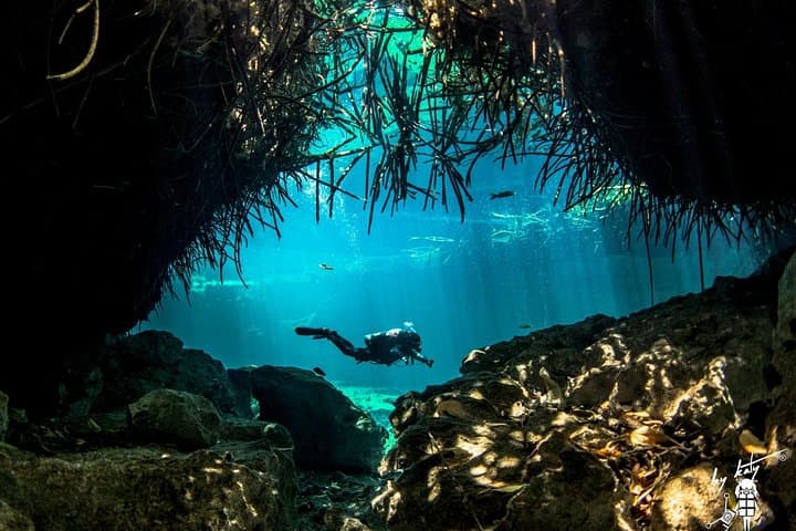 Discover Scuba Diving at Casa Cenote — Intro Dives from Riviera Maya photo 6