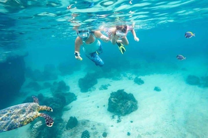 Dimaniyat Islands Day Trip from Muscat — Snorkel with Turtles in Oman’s Marine Reserve photo 3