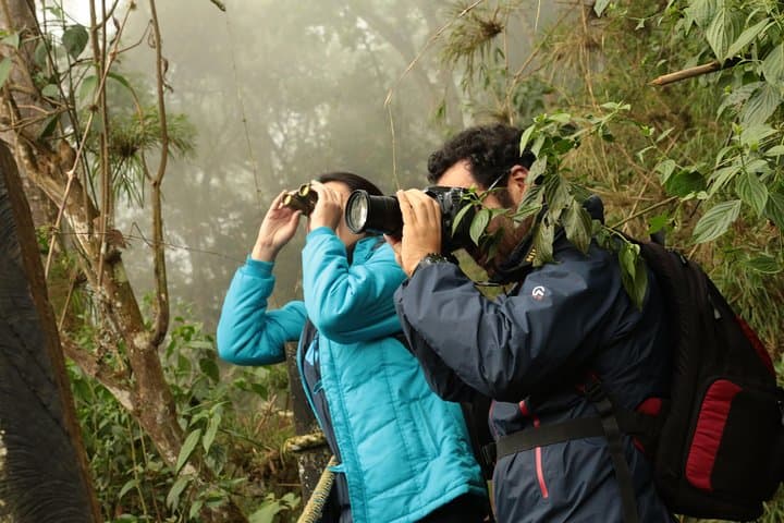 Day Trip to Chicaque Natural Park: Cloud-Forest Hike from Bogotá