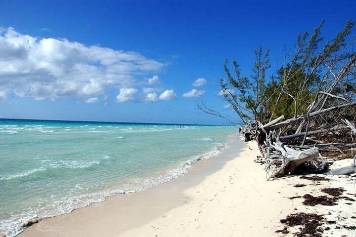 Private East End Day Trip: Lucayan National Park, Port Lucaya & Gold Rock Beach photo 1