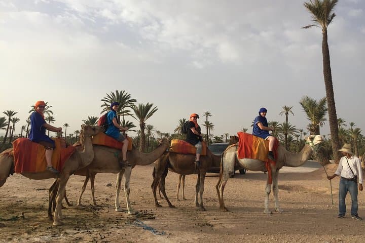 Sunset Camel Ride in Marrakech's Palmeraie: Dromedary Ride & Berber Tea Experience photo 2