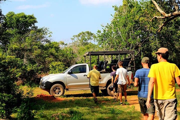 Private Yala National Park Safari: Dawn-to-Dusk Leopard & Elephant Game Drive photo 3