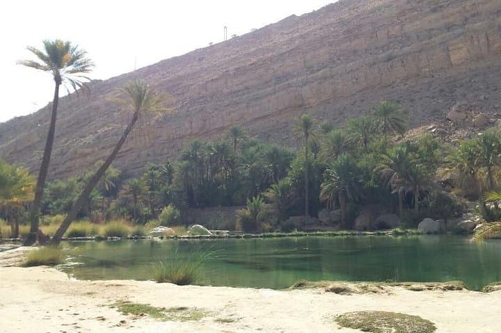 Red Dunes and Wadi Pools: Wahiba Sands 4x4 Desert Safari photo 6