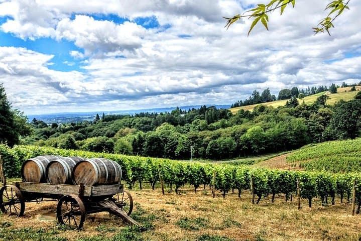 Willamette Valley Full-Day Wine Tour: Pinot Noir, Vineyards & Lunch photo 3