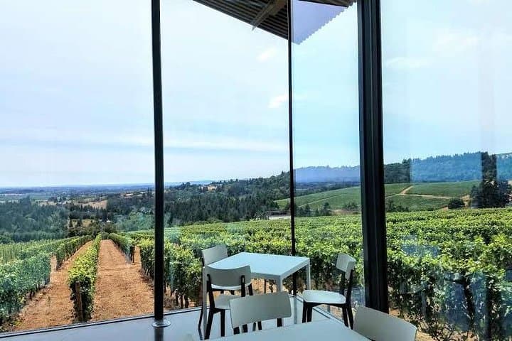 Willamette Valley Full-Day Wine Tour: Pinot Noir Tastings & Gourmet Lunch photo 4