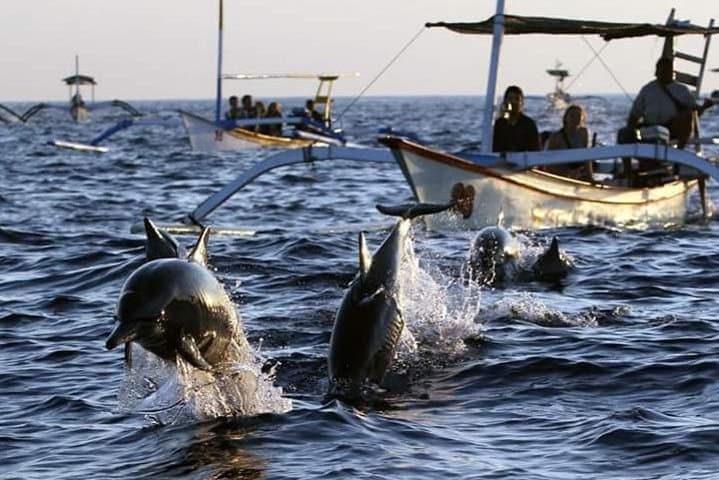Lovina Dolphin Watching & Wanagiri Hidden Hills — Private Full-Day Tour