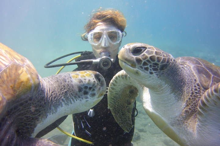 Intro Scuba Diving in Costa Adeje: 12m Beginner Session in Tenerife photo 2
