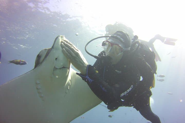 Intro Scuba Diving in Costa Adeje: 12m Beginner Session in Tenerife photo 4