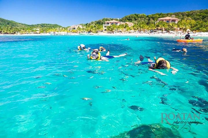 Roatán Sloth Park, Snorkel & West Bay Beach Excursion