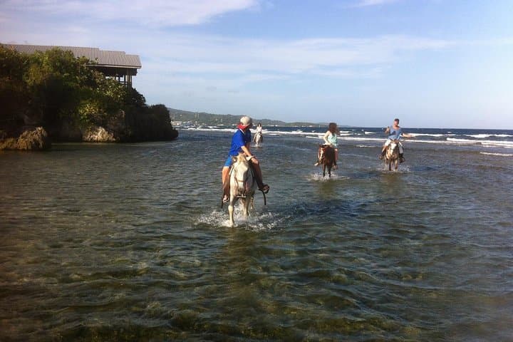Roatán Horseback Ride, Sloth Park & Glass-Bottom-Boat: Bay Island Combo