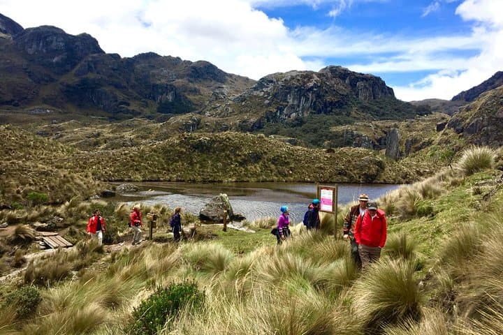 Cajas Unveiled: Half-Day Hike from Cuenca to Polylepis Forest photo 5