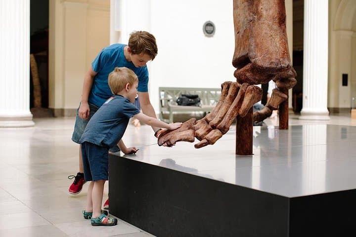 Field Museum Chicago Guide: SUE, Dinosaurs, Ancient Egypt & Gems