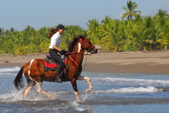 Beach Horseback Ride Near Jaco: 2-Hour Guided Coastal Adventure
