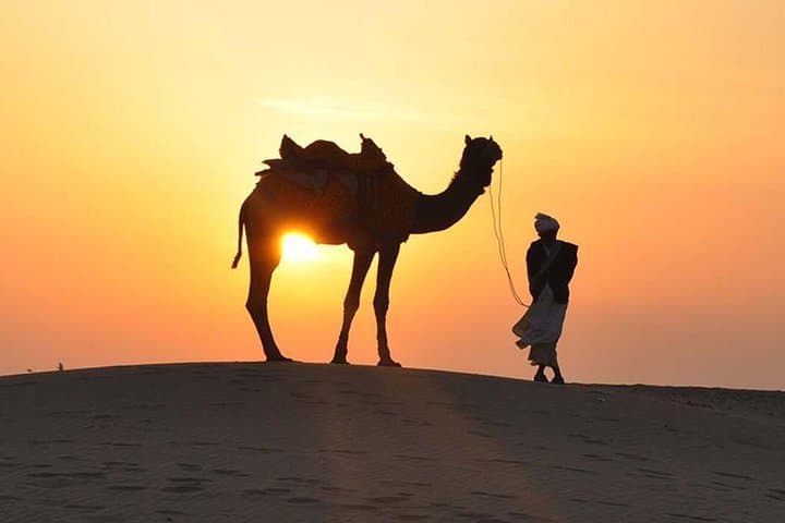 Dubai Morning Dune Bashing: Camel Ride, Sandboarding & Sunrise Desert 4x4 photo 2