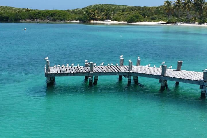 Isla Contoy and Isla Mujeres Snorkeling Tour from Cancun — Full-Day Catamaran Adventure photo 3