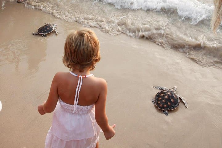 Bentota Day Tour from Colombo: Madu River, Turtle Hatchery & Kothduwa Temple photo 5