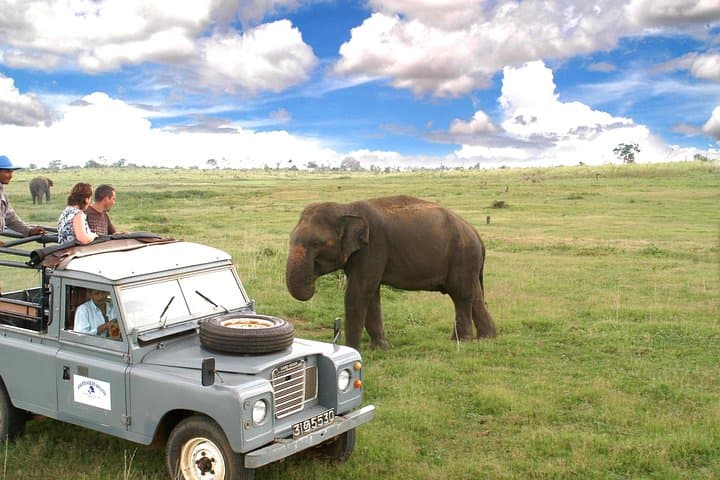 Dambulla & Kaudulla Day Tour — Cave Temple and Elephant Safari from Colombo photo 6