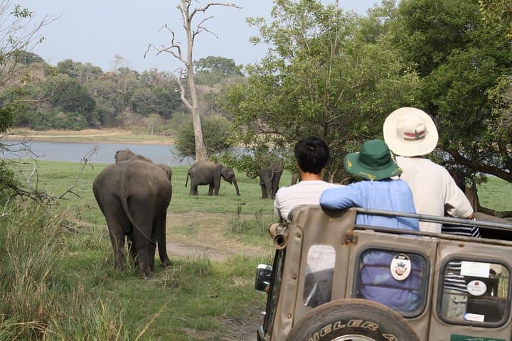 Udawalawe National Park Jeep Safari From Bentota: Guaranteed Elephant Sightings photo 5