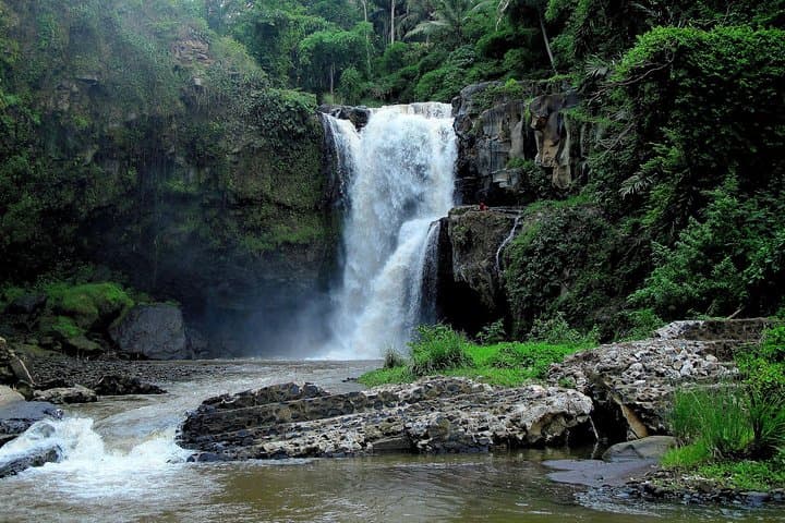 Bali Ultimate Day Tour: Waterfall, Tegalalang Rice Terraces, Ubud Culture & 2-Hour Spa photo 4