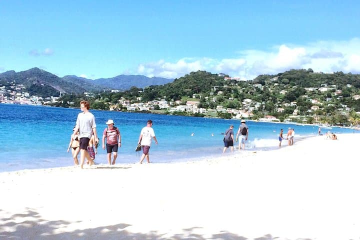 Grenada Shore Excursion: Annandale Waterfalls, Fort Frederick & Grand Anse Beach